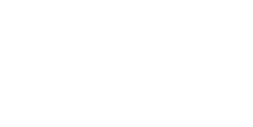 Professional Electrical Services, LLC Logo